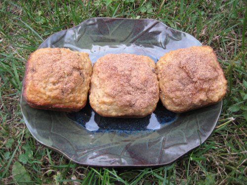 Oatmeal Breakfast Muffins in the Grass